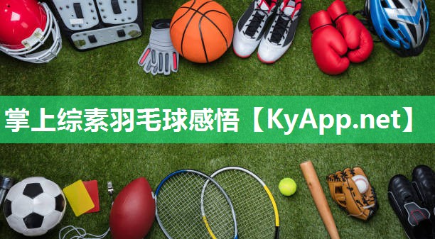 掌上综素羽毛球感悟