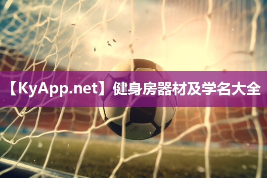 健身房器材及学名大全 健身房器材及学名大全