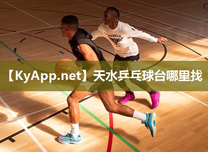 天水乒乓球台哪里找 天水乒乓球台哪里找