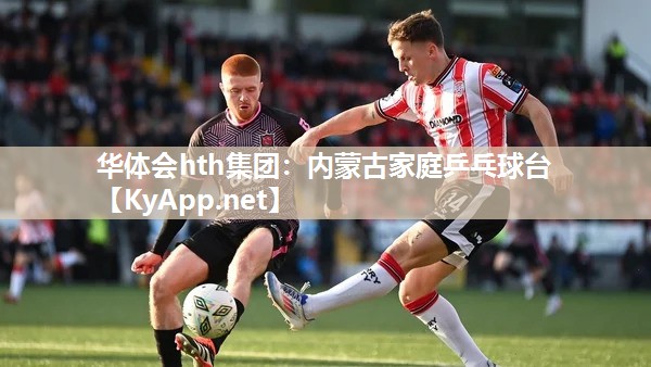 内蒙古家庭乒乓球台 内蒙古家庭乒乓球台