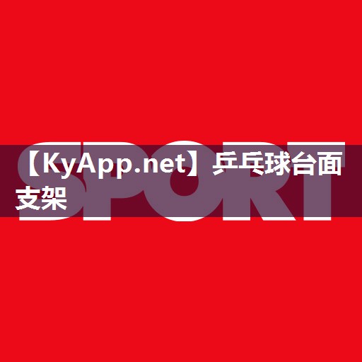 乒乓球台面支架 乒乓球台面支架