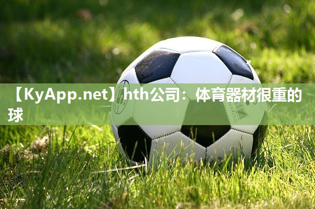 体育器材很重的球 体育器材很重的球