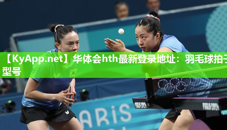 羽毛球拍子型号 羽毛球拍子型号