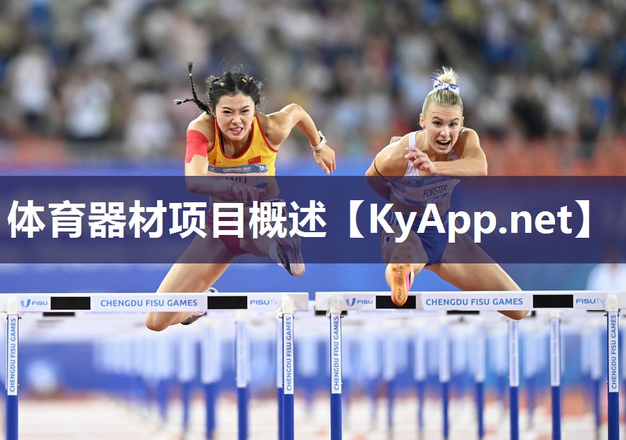 体育器材项目概述 体育器材项目概述