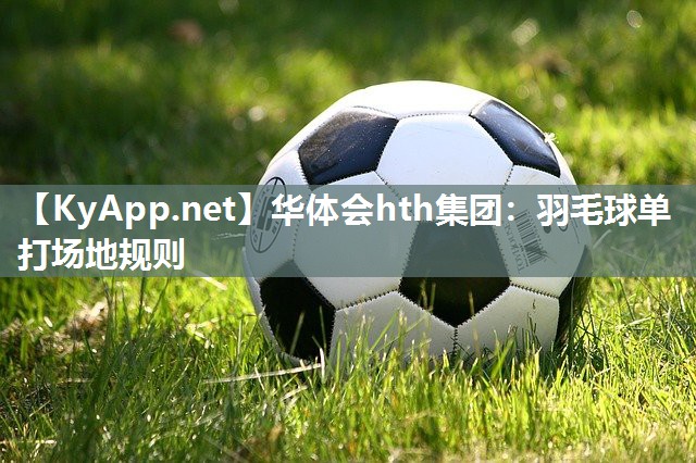 羽毛球单打场地规则 羽毛球单打场地规则