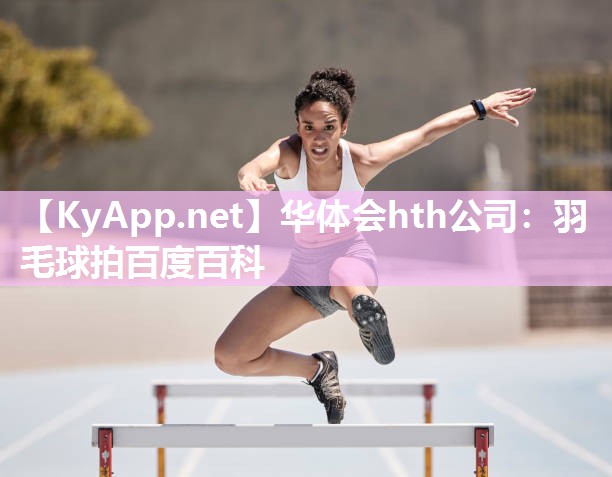 羽毛球拍百度百科 羽毛球拍百度百科