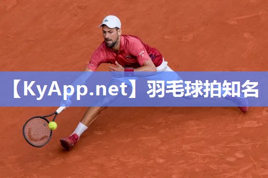 羽毛球拍知名 羽毛球拍知名